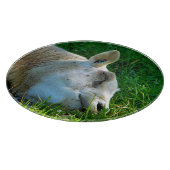 SCHUHE SCHNEIDEBRETT (Ecke)