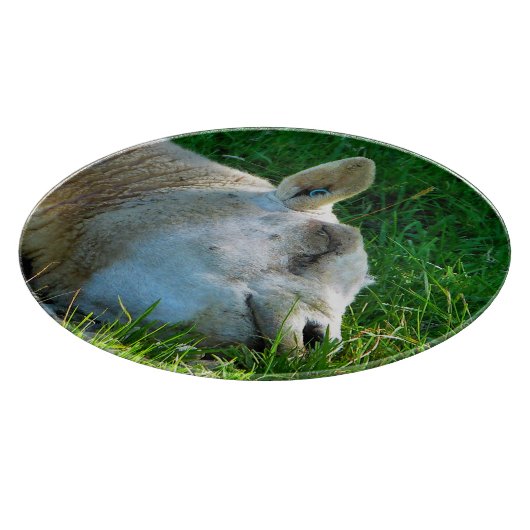 SCHUHE SCHNEIDEBRETT (Ecke)