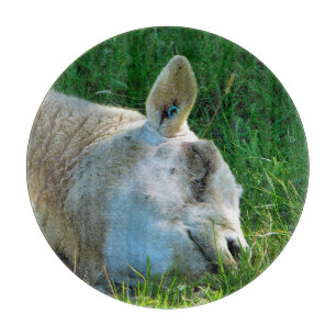 SCHUHE SCHNEIDEBRETT