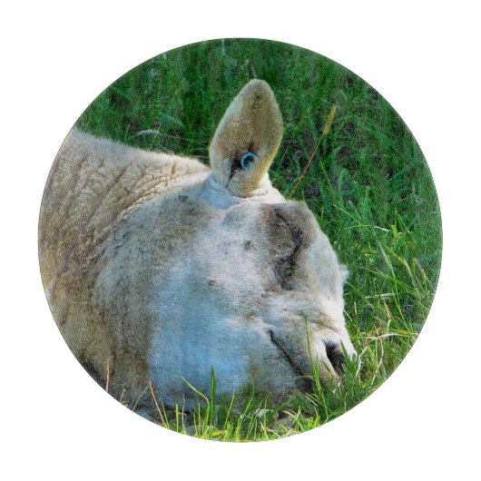 SCHUHE SCHNEIDEBRETT (Vorderseite)