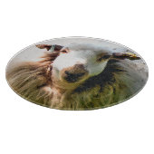 SCHUHE SCHNEIDEBRETT (Ecke)