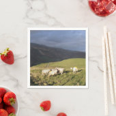 SCHUHE SERVIETTE (Beispiel)