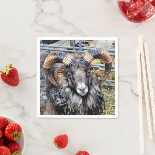 SCHUHE SERVIETTE (Beispiel)