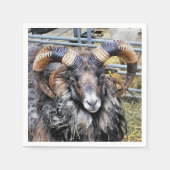 SCHUHE SERVIETTE (Vorderseite)