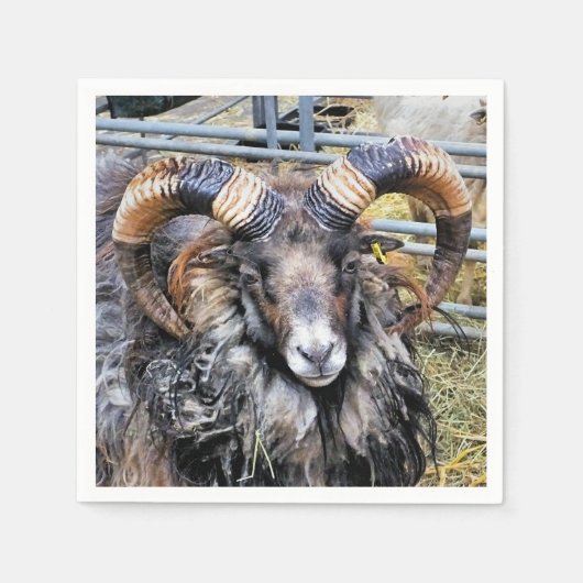 SCHUHE SERVIETTE (Vorderseite)