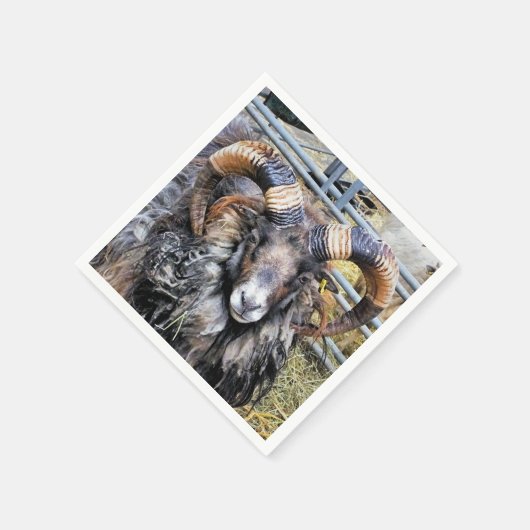 SCHUHE SERVIETTE (Ecke)