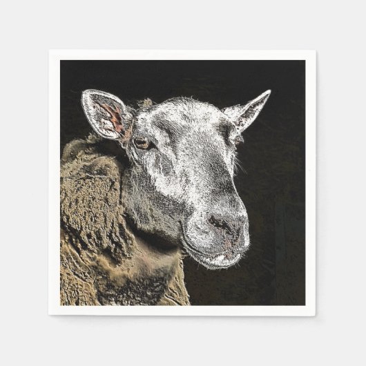 SCHUHE SERVIETTE (Vorderseite)