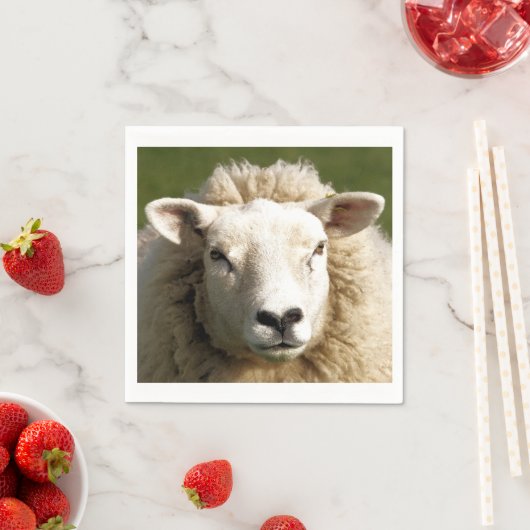 SCHUHE SERVIETTE (Beispiel)