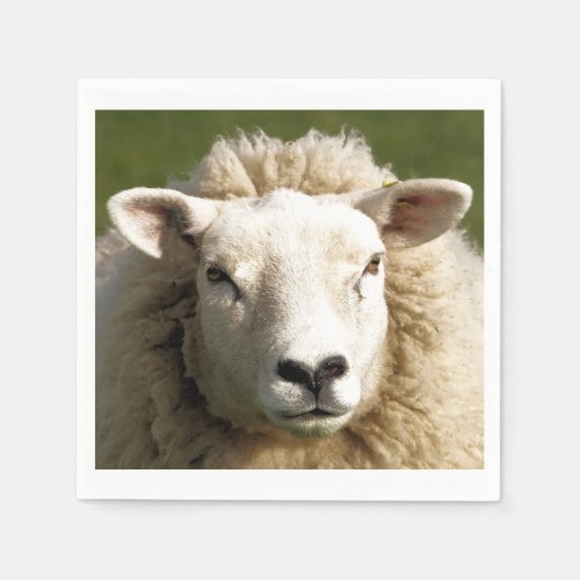 SCHUHE SERVIETTE (Vorderseite)