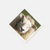 SCHUHE SERVIETTE (Ecke)