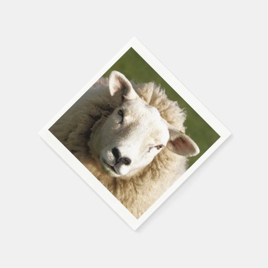 SCHUHE SERVIETTE (Ecke)