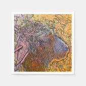 SCHUHE SERVIETTE (Vorderseite)