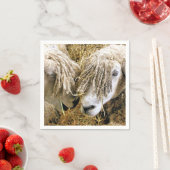 SCHUHE SERVIETTE (Beispiel)