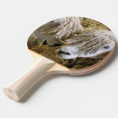 SCHUHE TISCHTENNIS SCHLÄGER (Vorderseite)