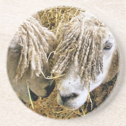 SCHUHE UNTERSETZER (Vorne)