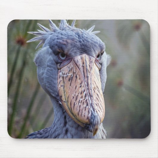 Schuhschnabel Mousepad (Vorne)