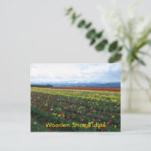 Schuhtulips aus Holz Postkarte (Stehend Vorderseite)