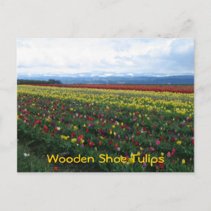 Schuhtulips aus Holz Postkarte