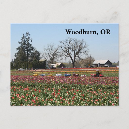 Schuhzug Postkarte (Vorderseite)