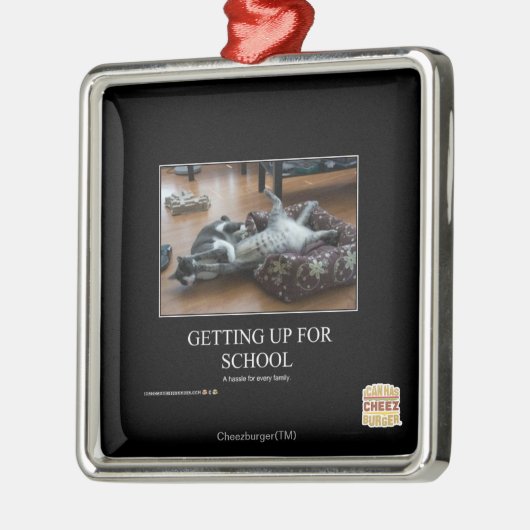 Schulbesuch Silbernes Ornament (Links)