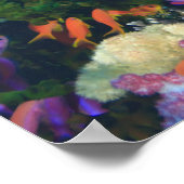 Schulbildung Fairy Basslets (Pseudanthias Poster (Ecke)