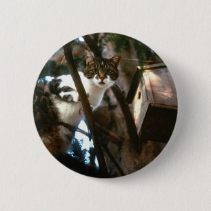 Schuld! Button
