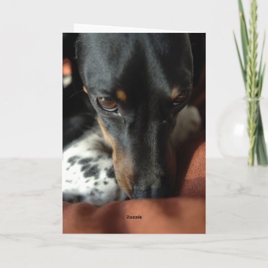 Schuld Karte (Rückseite)