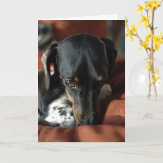 Schuld Karte (Gelbe Blume)