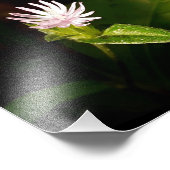 Schulden Fotodruck (Ecke)