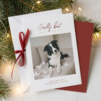 Schuldig, aber süß: Lustiges Hunde-Foto-Weihnachte Feiertagskarte