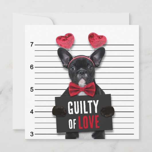 Schuldige Liebe Mugshot Dog Funny Valentine's Day Einladung (Vorderseite)