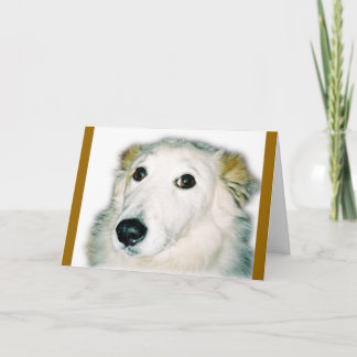 schuldiger Hund Karte