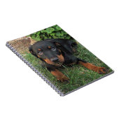 Schuldiges Rottweiler Welpen-Notizbuch Notizblock (Rechte Seite)