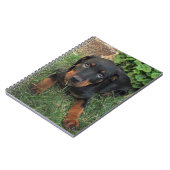 Schuldiges Rottweiler Welpen-Notizbuch Notizblock (Linke Seite)