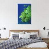 Schule der bluestripted und marginalisierten Grunt Leinwanddruck (Insitu (Schlafzimmer))