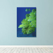 Schule der bluestripted und marginalisierten Grunt Leinwanddruck (Insitu (Holzboden))