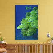 Schule der bluestripted und marginalisierten Grunt Leinwanddruck (Insitu (Wohnzimmer))