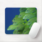 Schule der bluestripted und marginalisierten Grunt Mousepad (Mit Mouse)