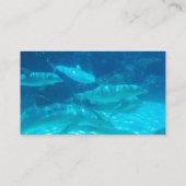 Schule der Delphin-Visitenkarten Visitenkarte (Rückseite)