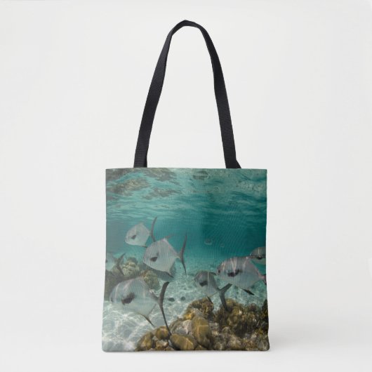 Schule der Erlaubnis-Fische Tasche (Vorderseite)
