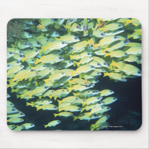Schule der Fische Mousepad