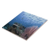 Schule der Fische über Riff Fliese (Seite)