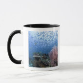 Schule der Fische über Riff Tasse (Links)