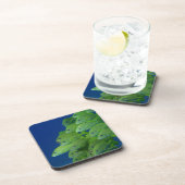 Schule der Franzosen bluestriped und des margate Getränkeuntersetzer (Rechte Seite)