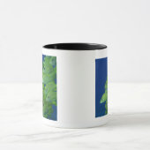 Schule der Franzosen bluestriped und des margate Tasse (Zentrum)