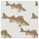 Schule der Hornhautfleck-Fische Stoff (Nahaufnahme)