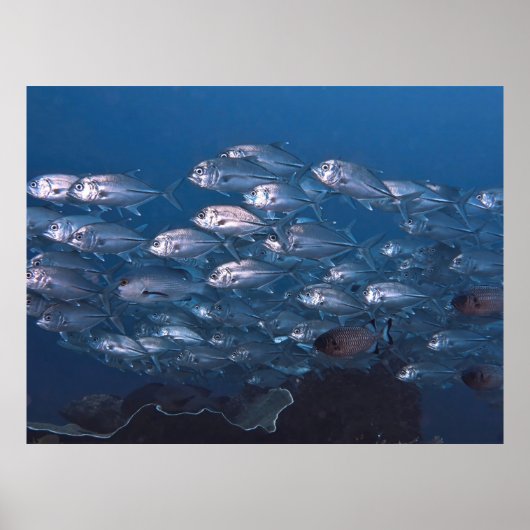 Schule der Jack Poster (Vorne)