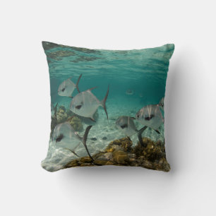 Schule der Permit-Fische Kissen