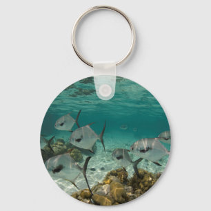 Schule der Permit-Fische Schlüsselanhänger