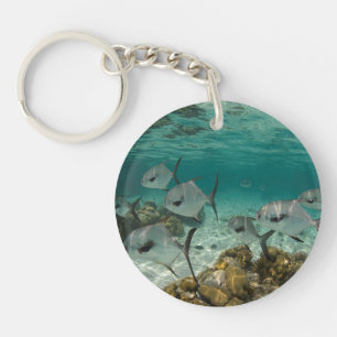 Schule der Permit-Fische Schlüsselanhänger